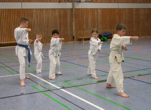 "Fremd"sportart Taekwon-Do